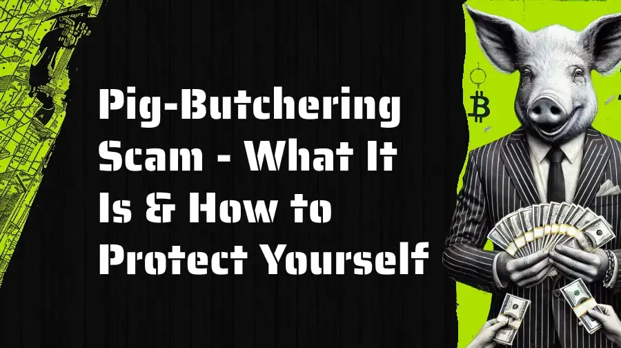 Cover image for What is a Pig-Butchering Scam?